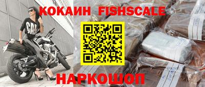 крисы Будённовск