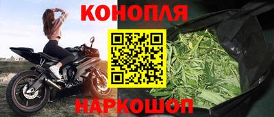 крисы Будённовск