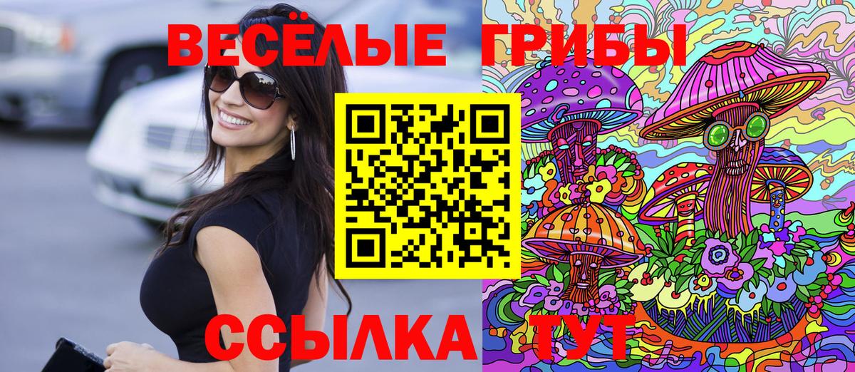 Саянск  Псилоцибиновые грибы Psilocybe  Псилоцибиновые грибы Magic Shrooms  магазин  наркотиков  Вход с VPN 